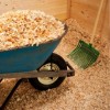 Shavings in stall. 