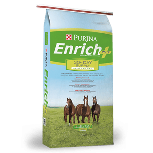 Purina Enrich Plus Ration Balancing Horse Feed D&D Feed & Supply