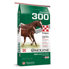 Purina Omolene 300 Growth Mare & Foal Feed. Green feed bag. Brown horse.