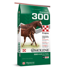 Purina Omolene 300 Growth Mare & Foal Feed
