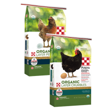 Purina Organic Layer Crumbles. Green poultry feed.