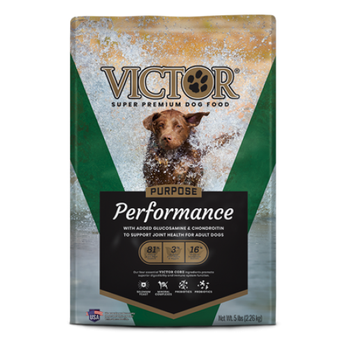 Victor dry dog food reviews discount