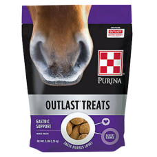 Purina Outlast Horse Treats