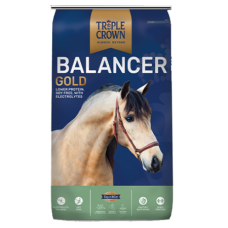 Triple Crown Balancer Gold Horse Feed. Blue feed bag. Tan horse.