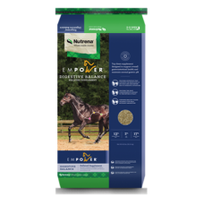 Nutrena Empower Digestive Balance-Nutrena-15063-Horse Feed | D&D Feed & Supply