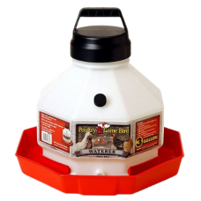 Little Giant Plastic Poultry Waterer. White plastic water reservoir with black cap. Round red trough base.
