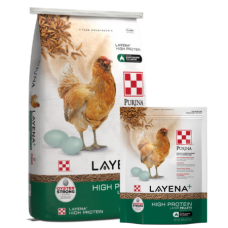 Purina Layena+ High Protein Layer Pellets