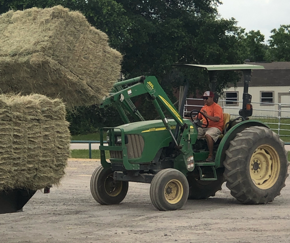 Hay & Shavings D&D Feed & Supply