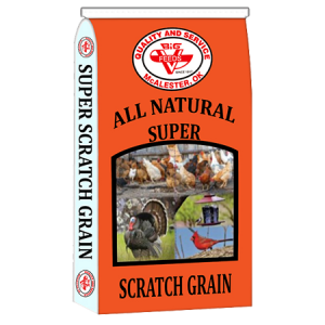 Big V Super Scratch Grain