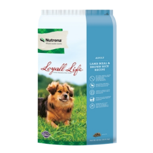 Loyall Life Adult Lamb Meal & Rice Dry Dog Food