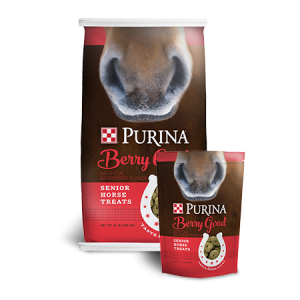 Purina Berry Good Senior Horse Treats