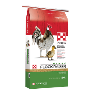 Purina Flock Raiser Medicated Pellets