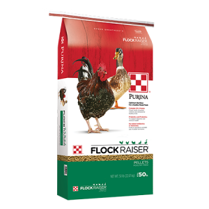 Purina Flock Raiser Pellets