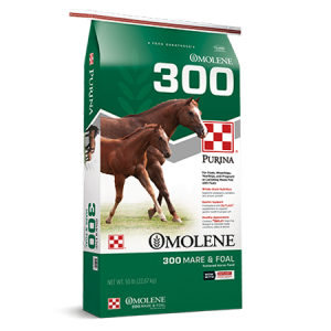 Purina Omolene 300 Growth Mare & Foal Feed