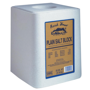 Ranch House Plain Salt Block