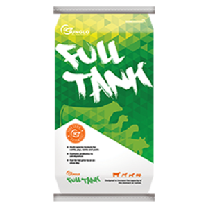 Sunglo Full Tank Pellets