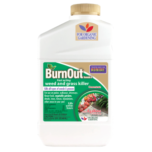 Bonide BurnOut Formula II Concentrate