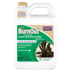 Bonide BurnOut Concentrate