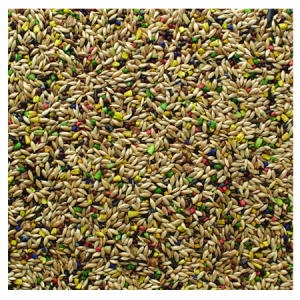 Brooks Acapulco Canary Blend Bird Seed