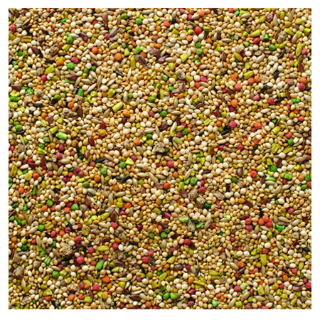 Brooks Acapulco Finch Blend Bird Seed - D&D Feed & Supply