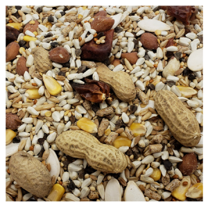 Brooks All Natural Parrot No Sun Blend Bird Seed