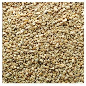Brooks Birds of a Feather Medium Sunflower Chips