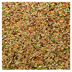 Brooks Grains Plus Finch Blend Bird Seed