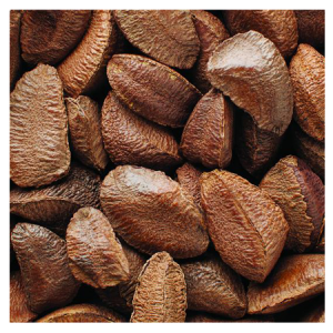 Brooks Orchard Fresh Brazil Nuts