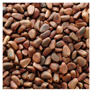 Brooks Orchard Fresh Pine Nuts
