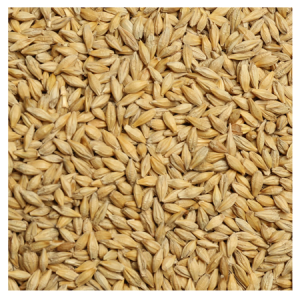 Brooks Raw Grains Barley