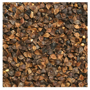 Brooks Raw Grains Buckwheat