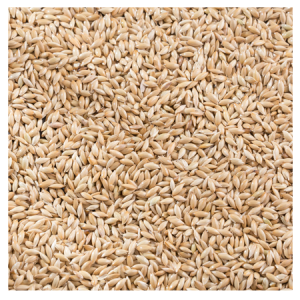 Brooks Raw Grains Canary Seed