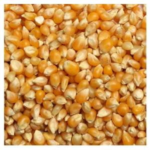 Brooks Raw Grains Popcorn