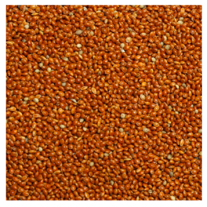 Brooks Raw Grains Red Proso Millet