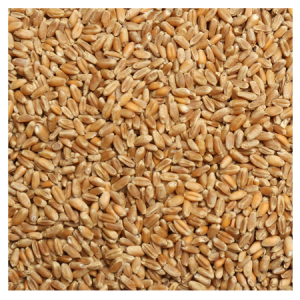 Brooks Raw Grains Wheat