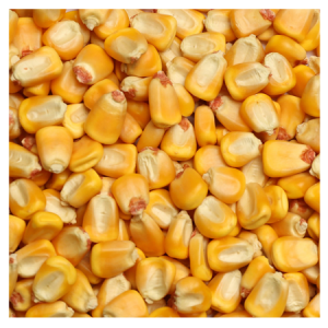 Brooks Raw Grains Whole Corn