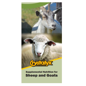 Lone Star Crystalyx Sheep and Goat