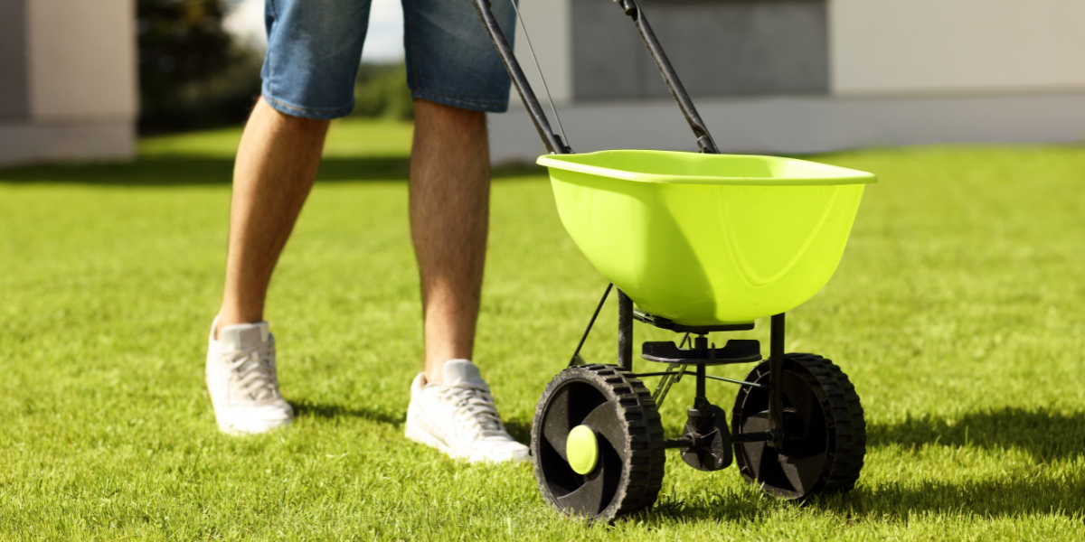 a man fertilizing his lawn