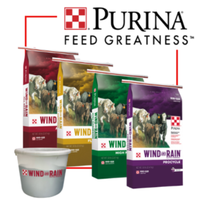Beyond the bag. Purina Feed Greatness