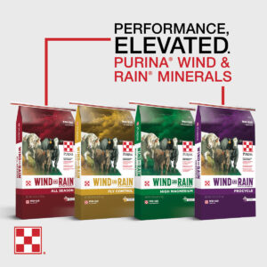 Optimize Cattle Mineral Consumption for Each Season. Purina Wind and Rain Cattle Minerals