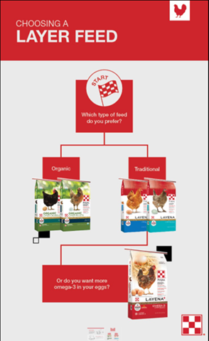 choosing chicken layer feed diagram